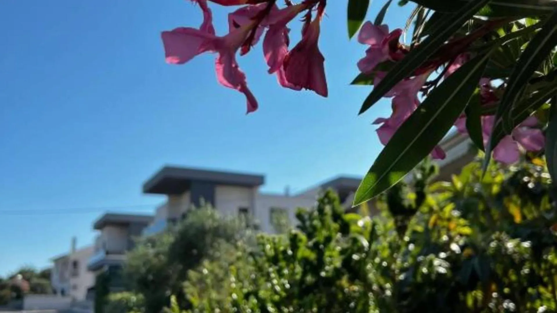 Luxart City Spa Gallery Residence Krk Krk Town